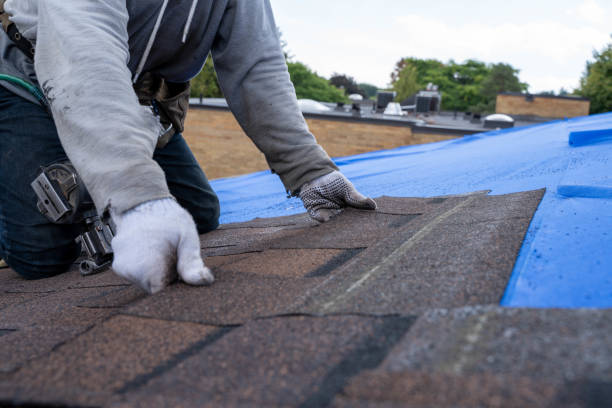 Best Roof Ventilation Installation  in Eureka Mill, SC